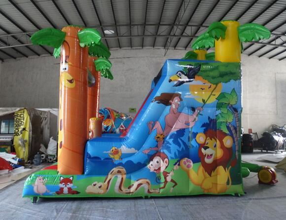 Mini Jungle Slide 2
